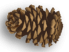 Captcha image 3876