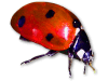Captcha image 2445