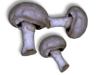 Captcha image 1614
