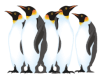 Captcha image 5050